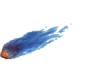 Comets are fascinating celestial objects composed primarily of ice, dust, and rocky material. Often described as "dirty snowballs," they originate from the outer regions of the solar system, particularly the Kuiper Belt and the Oort Cloud. When a comet approaches the Sun, the heat causes its ices to vaporize, creating a glowing coma and a spectacular tail that can stretch millions of kilometers. This tail always points away from the Sun due to the solar wind. Comets have been observed for centuries, inspiring awe and curiosity, and they provide valuable insights into the early solar system's conditions and the formation of planetary bodies.